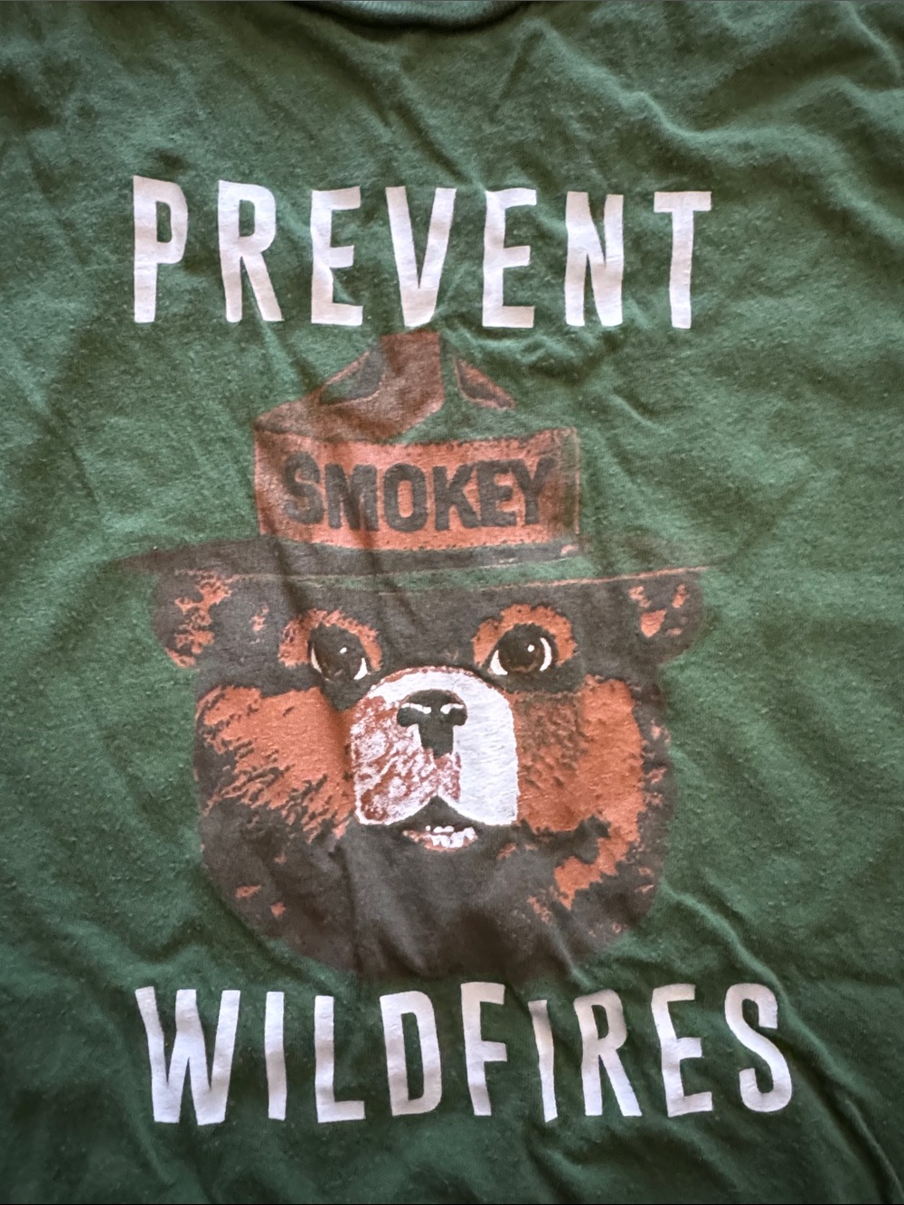 GAP Green Smokey Bear 'Prevent Wildfires' Graphic Tee - Picture 3 of 3